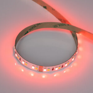 Лента RT-A168-10mm 24V RGBW-Day (20 W/m, IP20, 5m) (Arlight, высок.эфф.150 лм/Вт)